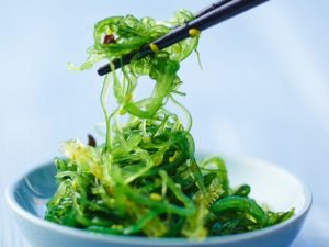 alge-biodiverse-food